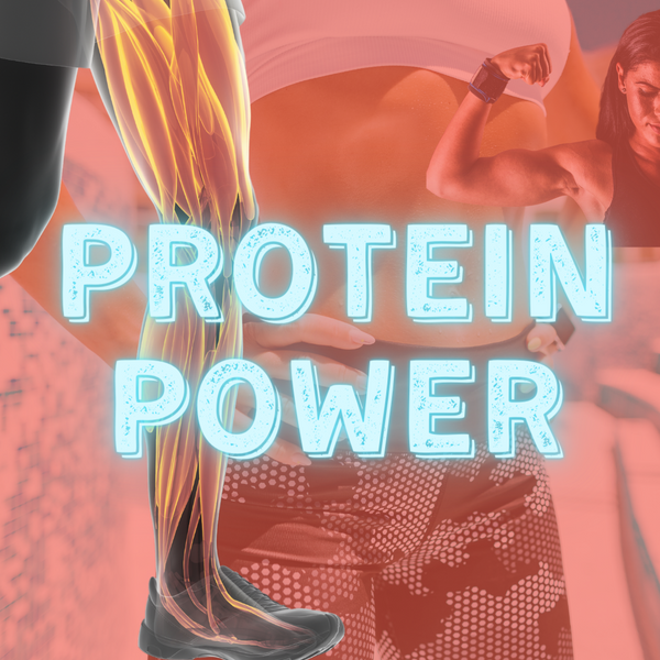 Everything you need to know about protein!
